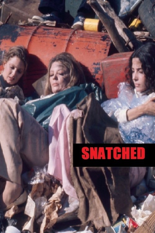 Постер Snatched